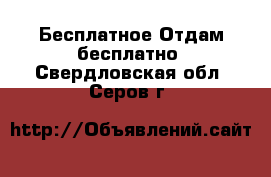 Бесплатное Отдам бесплатно. Свердловская обл.,Серов г.